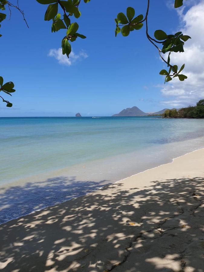 Ste Luce, N° 11 Appart -300M Plage De Mabouyas Corps de Garde Exterior foto